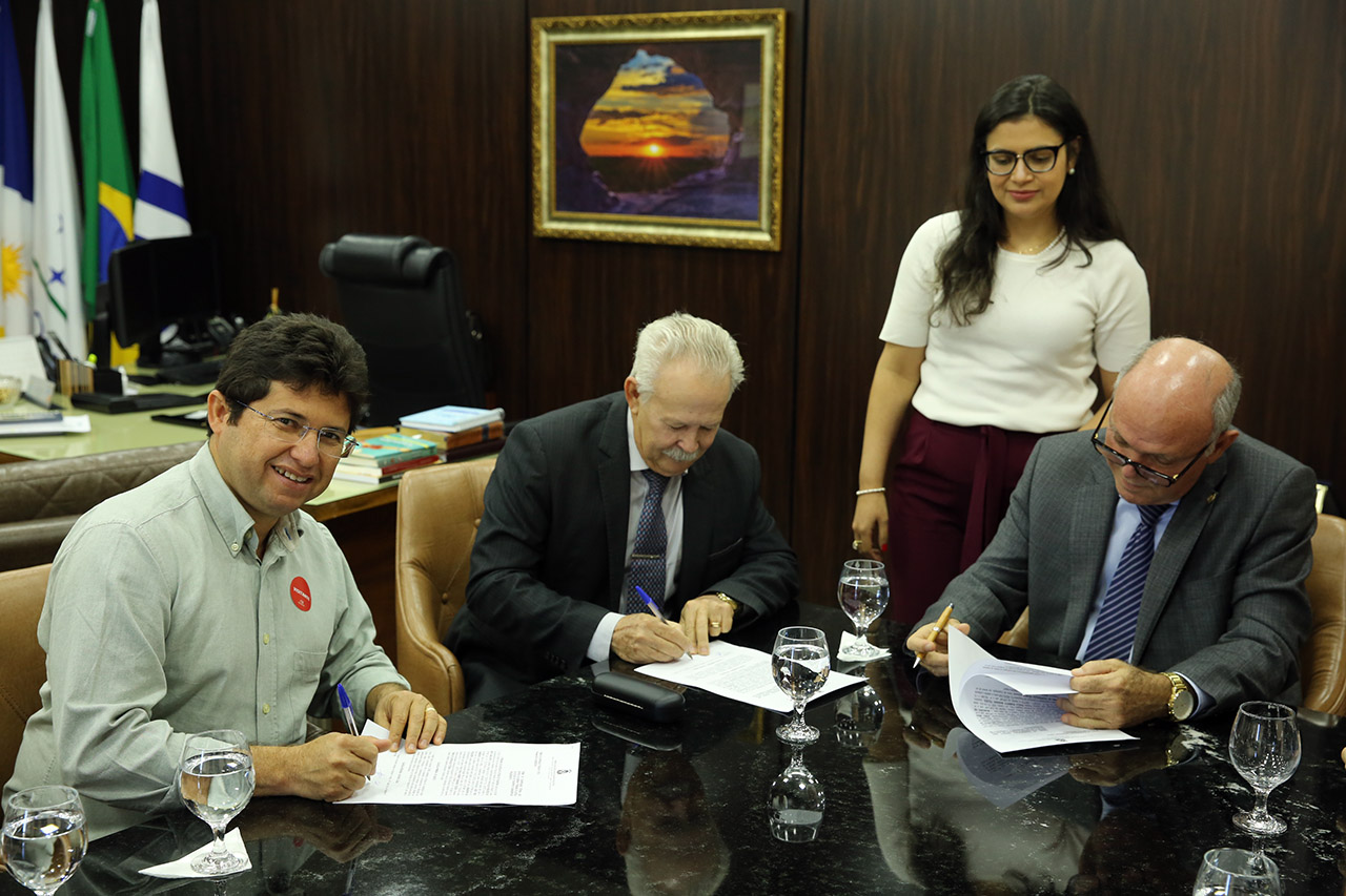 TJTO pequizeiro 2019 foto 01