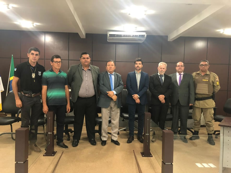 correicao ananas foto 01