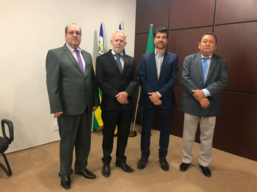 correicao ananas foto 02