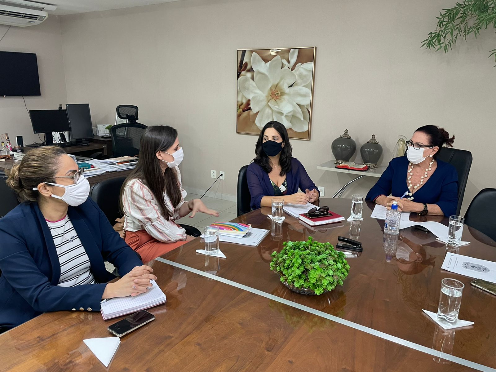 aplicativo violencia contra mulher 2